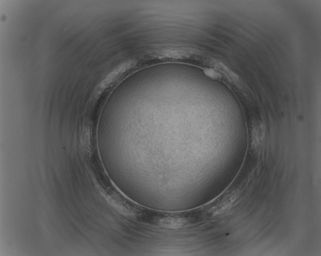 X0000062870444200601171425