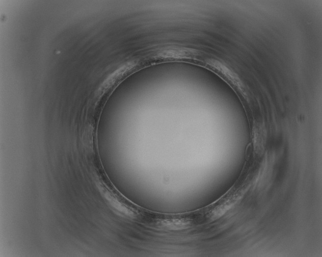 X0000062870445200601171426