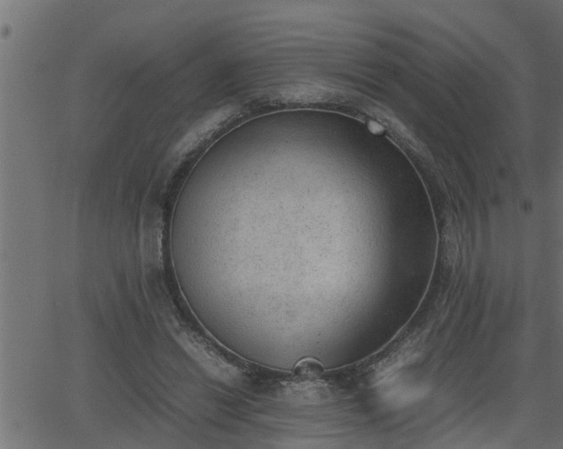 X0000062870446200601171426