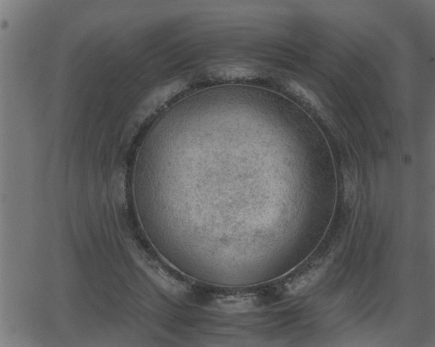 X0000062870447200601171426