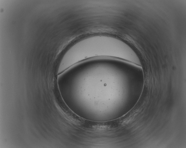 X0000062870448200601171426