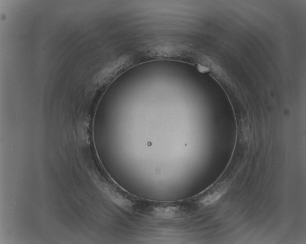 X0000062870450200601171426