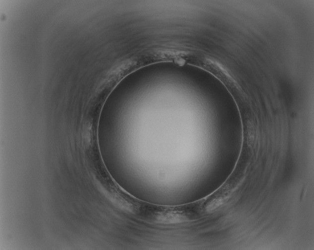 X0000062870451200601171426