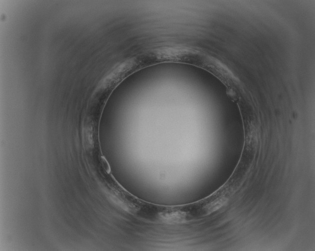 X0000062870452200601171426