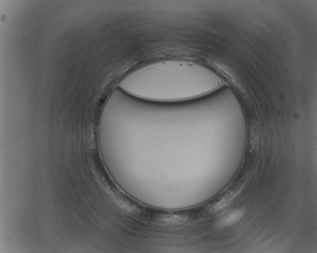 X0000062870453200601171426