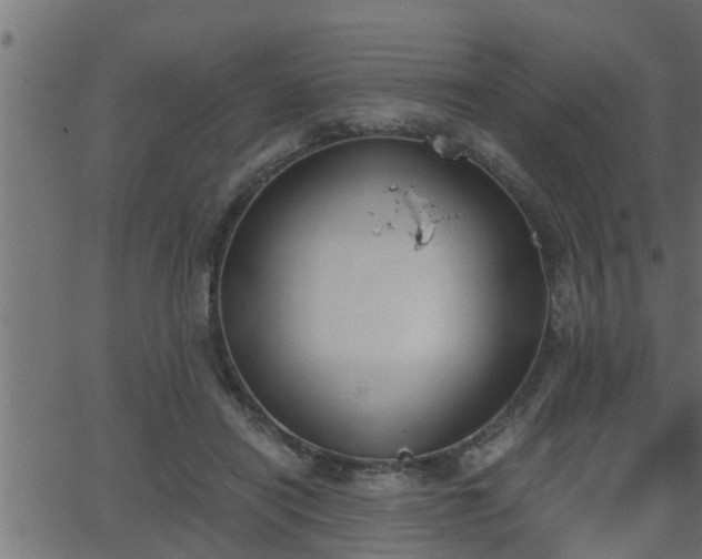 X0000062870454200601171426