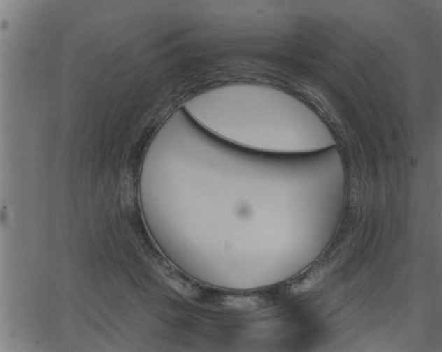 X0000062870457200601171426