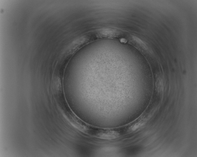 X0000062870459200601171426