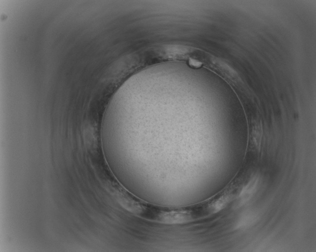 X0000062870461200601171426