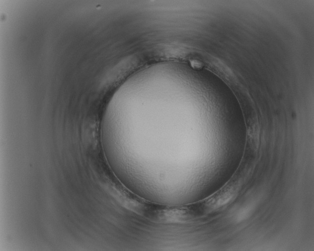 X0000062870462200601171426