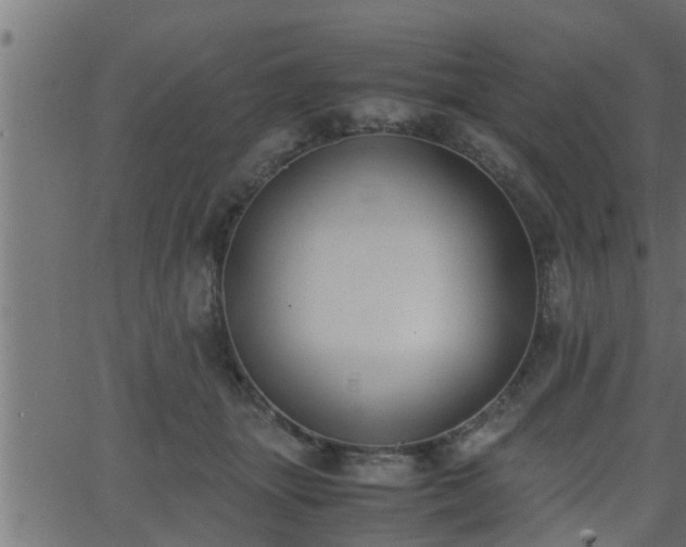 X0000062870463200601171426