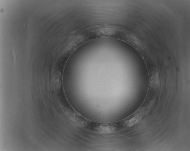 X0000062870464200601171426