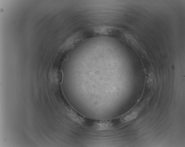 X0000062870466200601171426