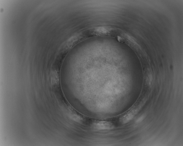 X0000062870467200601171426