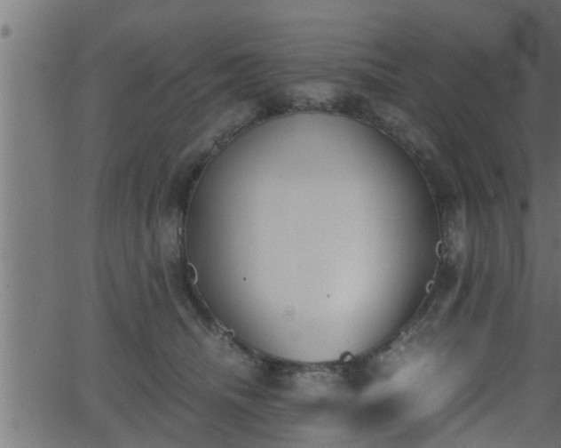 X0000062870468200601171426