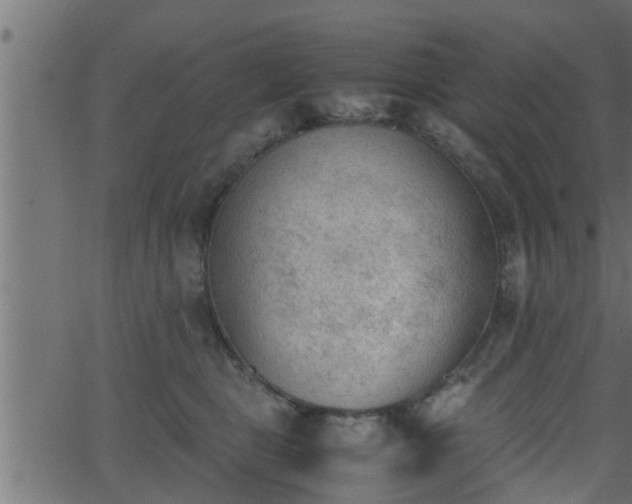 X0000062870469200601171426