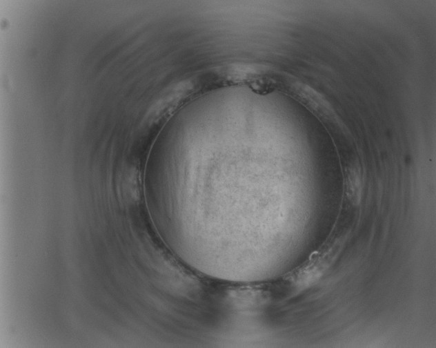 X0000062870470200601171426