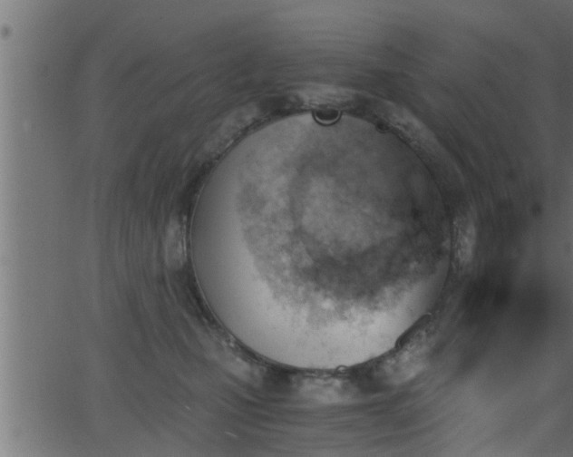 X0000062870471200601171426