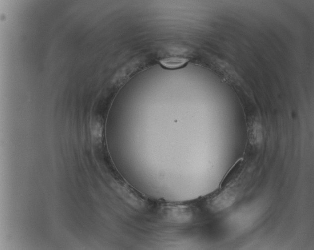 X0000062870472200601171426