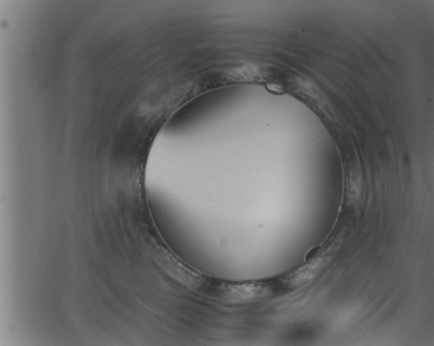 X0000062870473200601171426