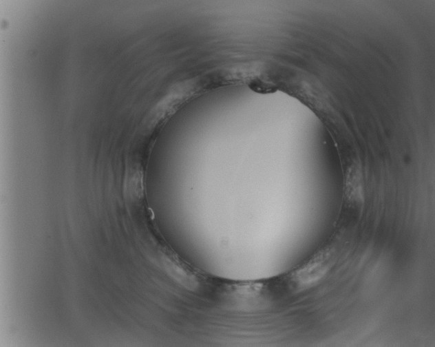 X0000062870474200601171426