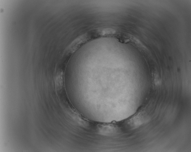 X0000062870475200601171426