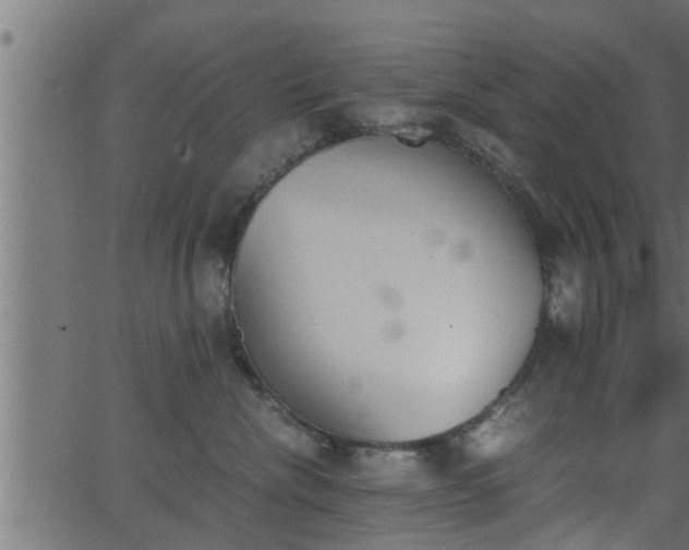 X0000062870476200601171426