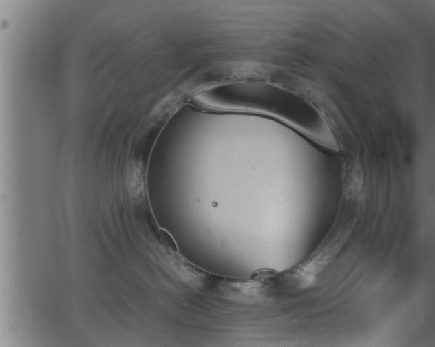 X0000062870478200601171426