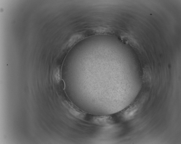 X0000062870479200601171426