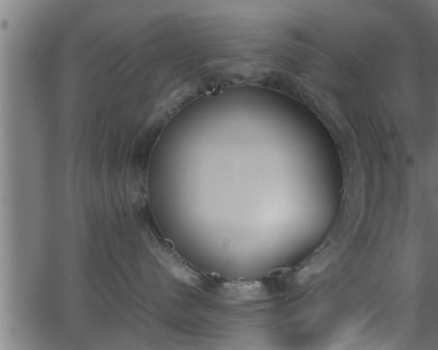 X0000062870480200601171426