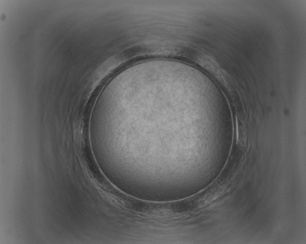 X0000062870483200601171425