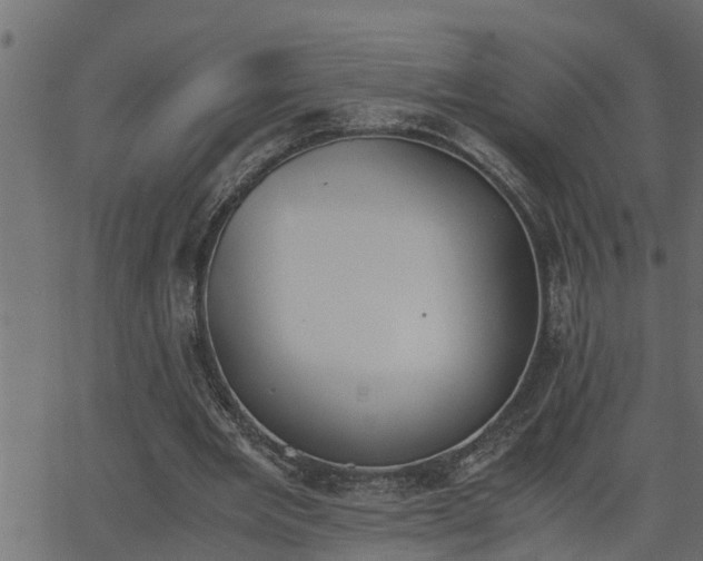 X0000062870485200601171425