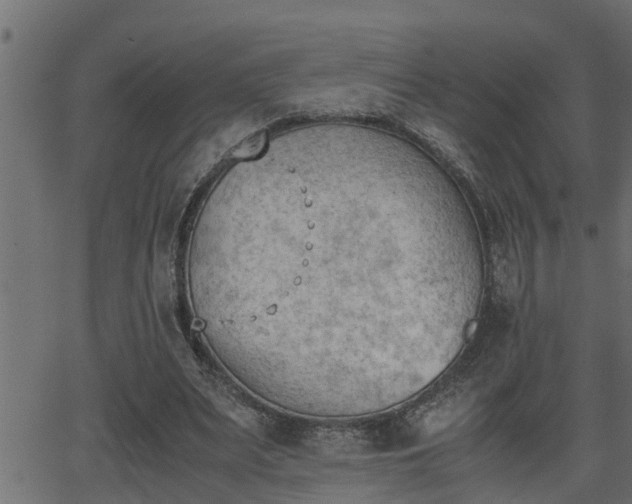 X0000062870487200601171425