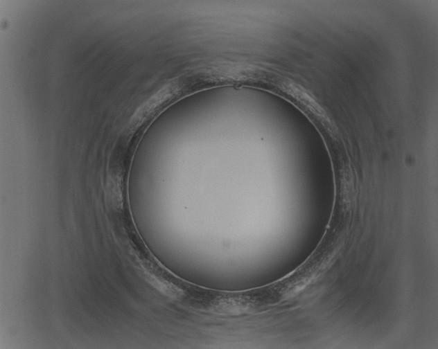 X0000062870489200601171425