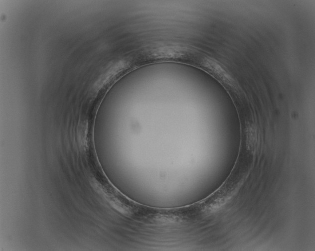 X0000062870490200601171425