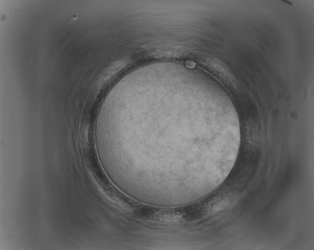 X0000062870491200601171425