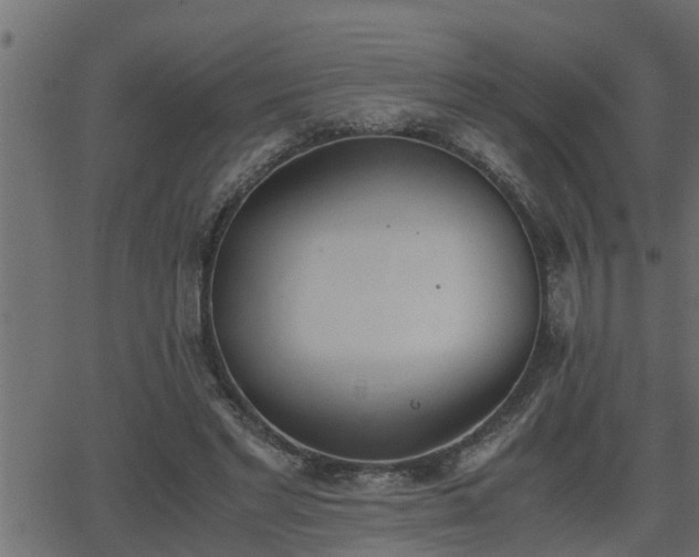 X0000062870493200601171425