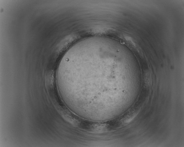 X0000062870495200601171425