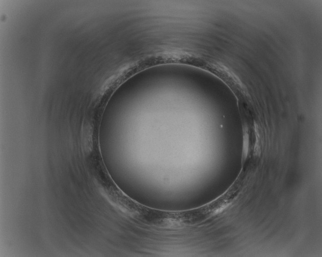 X0000062870496200601171425