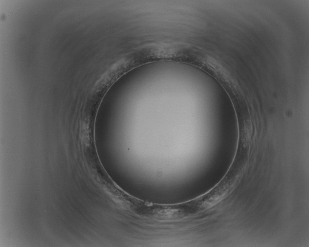 X0000062870497200601171425