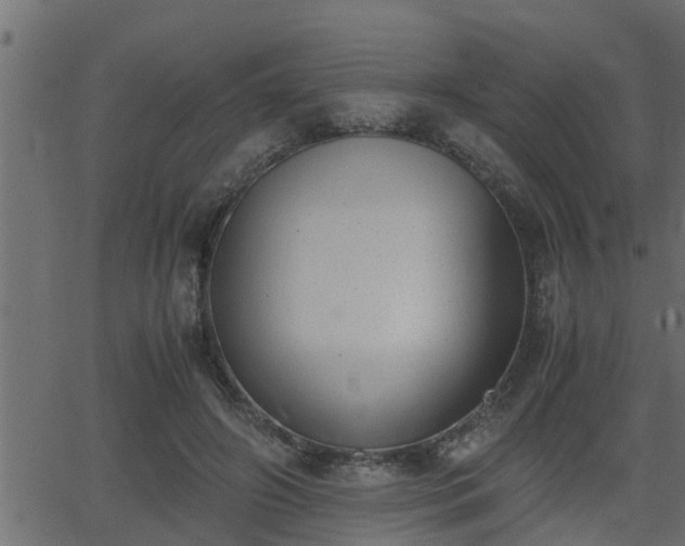 X0000062870498200601171425