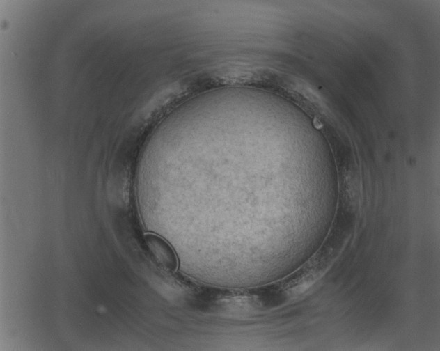 X0000062870499200601171425