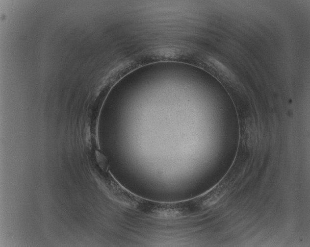 X0000062870500200601171425