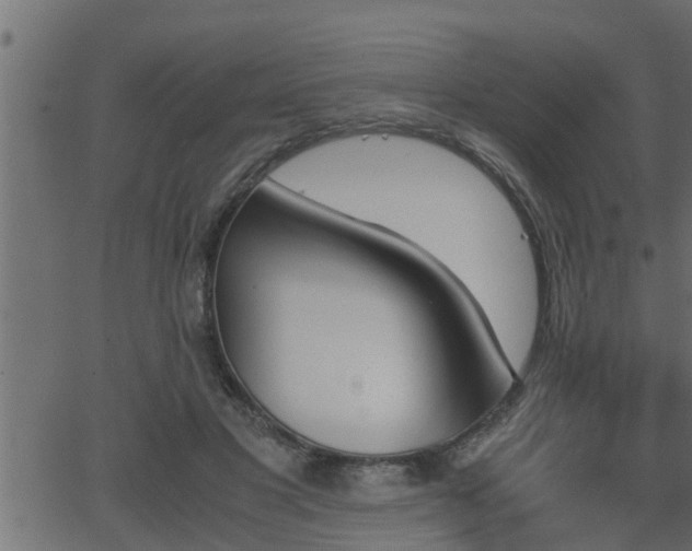 X0000062870501200601171425