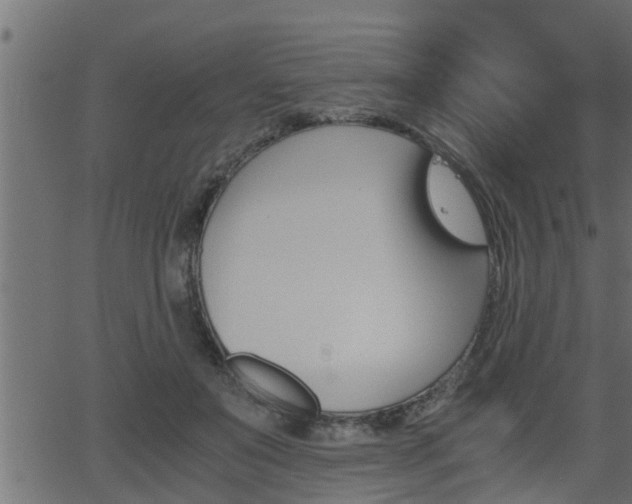 X0000062870503200601171425