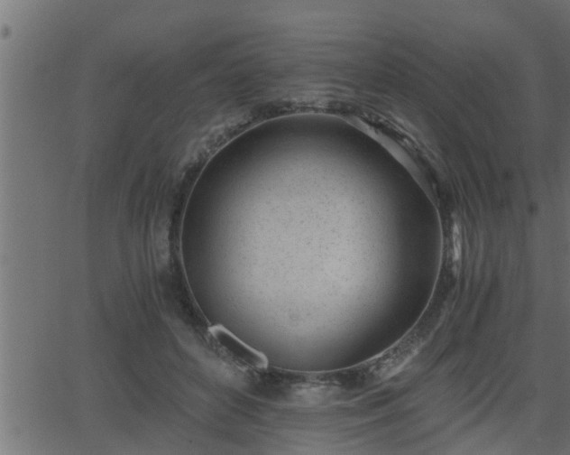 X0000062870504200601171425