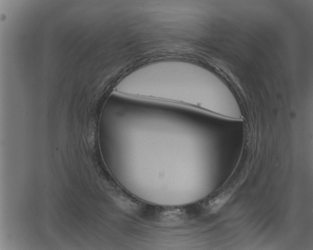 X0000062870505200601171425