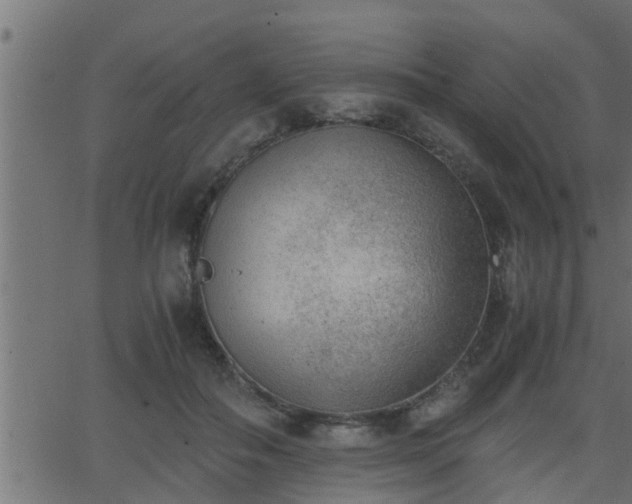 X0000062870506200601171425