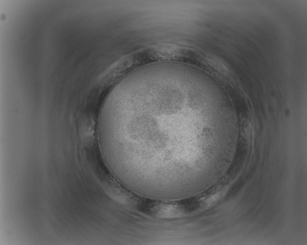 X0000062870507200601171425