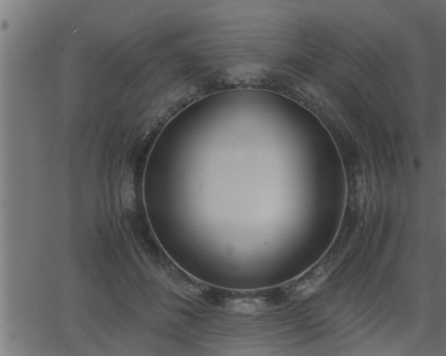 X0000062870508200601171425